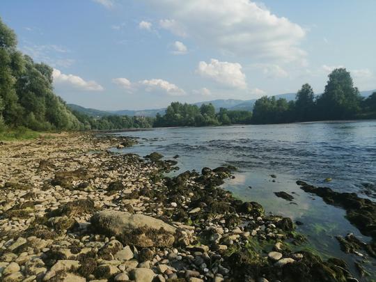 Reka Drina Bajina Bašta